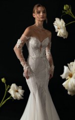 فستان شارلوت إليوت | Charlotte Elliott