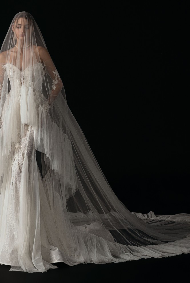 فستان شارلوت إليوت | Charlotte Elliott